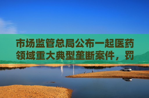 市场监管总局公布一起医药领域重大典型垄断案件，罚没3.62亿元