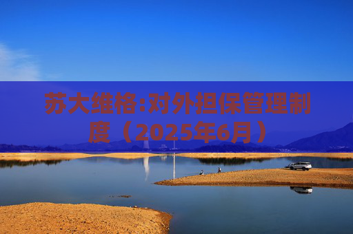 苏大维格:对外担保管理制度（2025年6月）