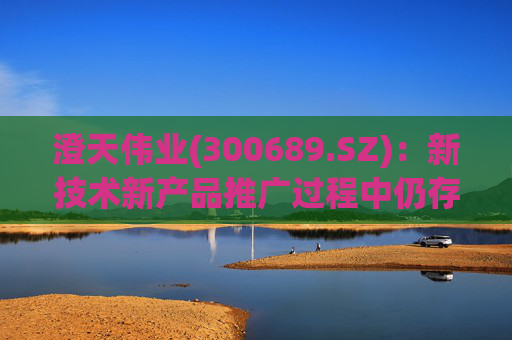 澄天伟业(300689.SZ)：新技术新产品推广过程中仍存在产业化、商用化不达预期的风险