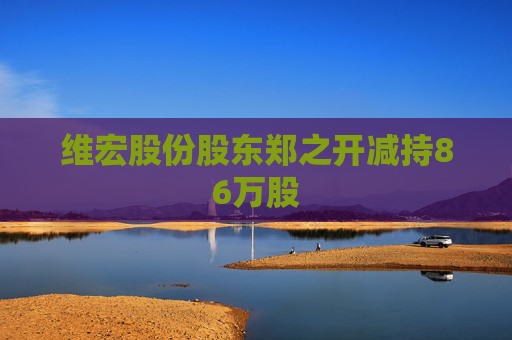 维宏股份股东郑之开减持86万股  第1张