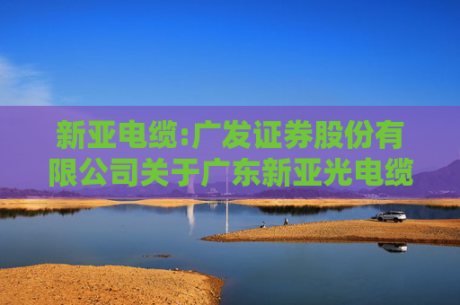 新亚电缆:广发证券股份有限公司关于广东新亚光电缆股份有限公司调整部分募投项目实施地点及内部投资结构的核查意见  第1张