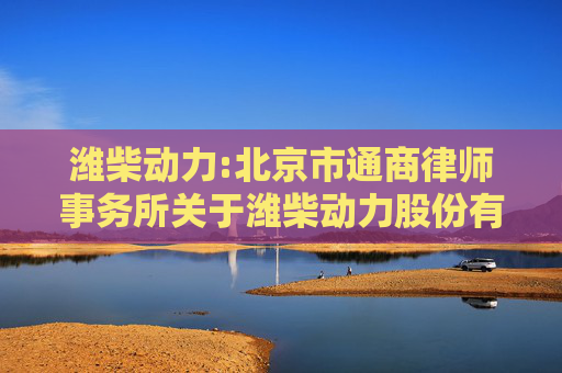 潍柴动力:北京市通商律师事务所关于潍柴动力股份有限公司2024年度股东周年大会的法律意见书