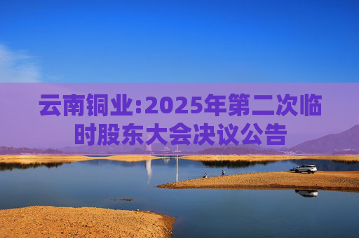 云南铜业:2025年第二次临时股东大会决议公告