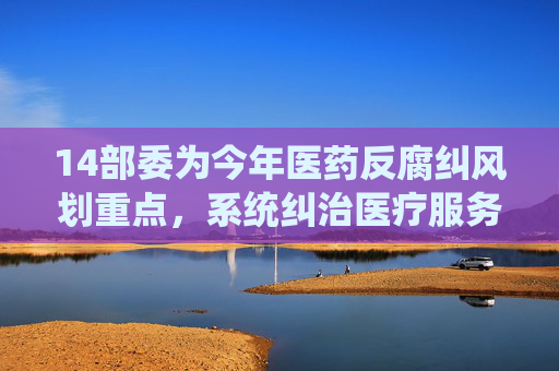 14部委为今年医药反腐纠风划重点，系统纠治医疗服务乱象