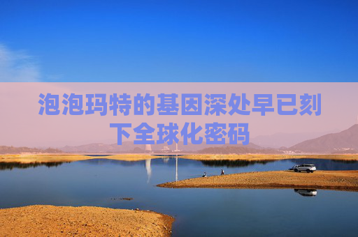 泡泡玛特的基因深处早已刻下全球化密码