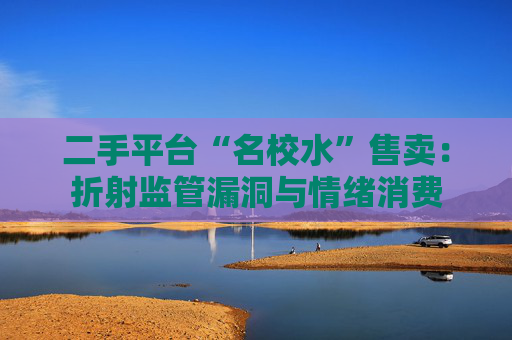 二手平台“名校水”售卖：折射监管漏洞与情绪消费