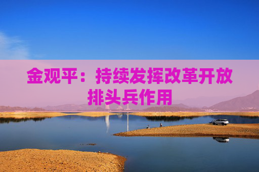 金观平：持续发挥改革开放排头兵作用