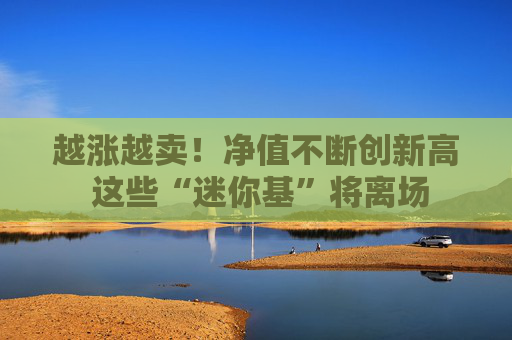 越涨越卖！净值不断创新高 这些“迷你基”将离场