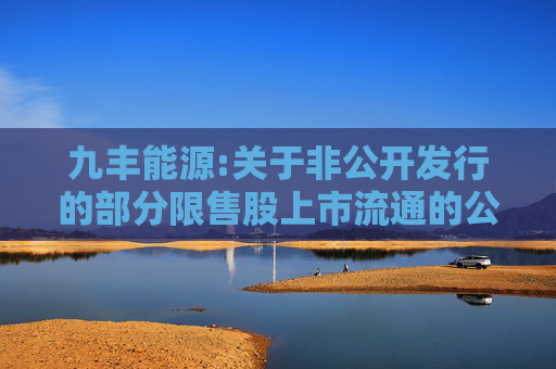 九丰能源:关于非公开发行的部分限售股上市流通的公告