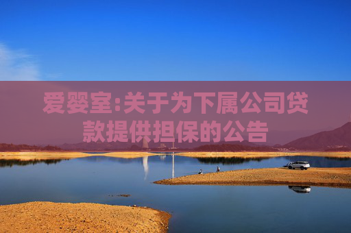 爱婴室:关于为下属公司贷款提供担保的公告