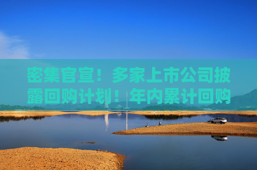 密集官宣！多家上市公司披露回购计划！年内累计回购超700亿元