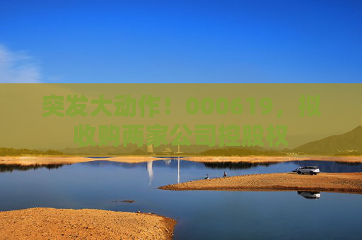 突发大动作！000619，拟收购两家公司控股权