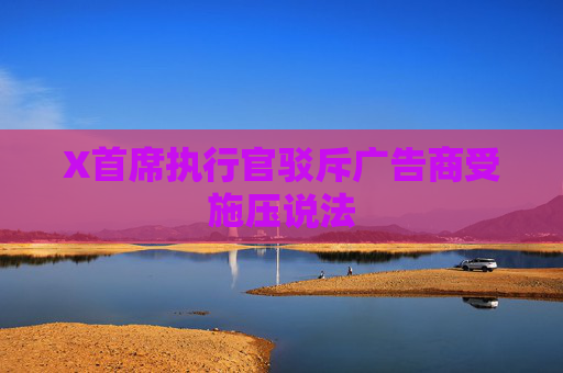X首席执行官驳斥广告商受施压说法