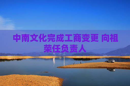 中南文化完成工商变更 向祖荣任负责人