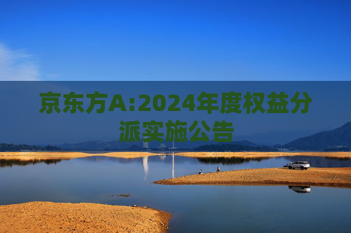 京东方A:2024年度权益分派实施公告