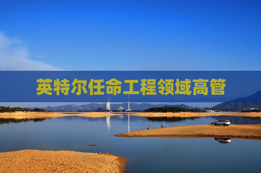 英特尔任命工程领域高管  第1张
