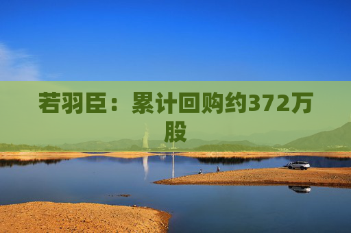 若羽臣：累计回购约372万股