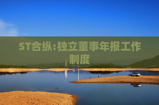 ST合纵:独立董事年报工作制度