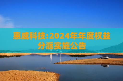 惠威科技:2024年年度权益分派实施公告
