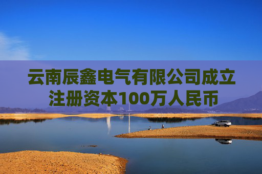 云南辰鑫电气有限公司成立 注册资本100万人民币