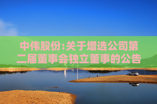中伟股份:关于增选公司第二届董事会独立董事的公告