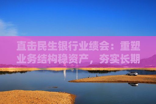 直击民生银行业绩会：重塑业务结构稳资产，夯实长期稳健发展基石  第1张