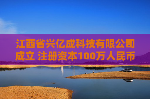 江西省兴亿成科技有限公司成立 注册资本100万人民币  第1张