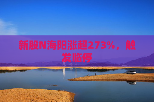 新股N海阳涨超273%，触发临停