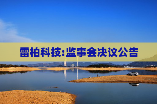 雷柏科技:监事会决议公告