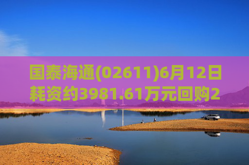 国泰海通(02611)6月12日耗资约3981.61万元回购214.992万股A股