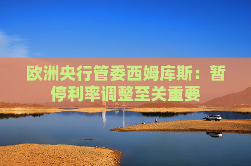 欧洲央行管委西姆库斯：暂停利率调整至关重要