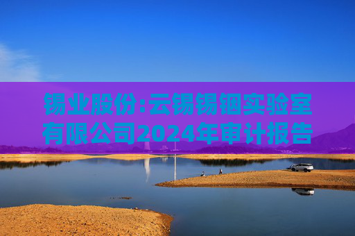 锡业股份:云锡锡铟实验室有限公司2024年审计报告  第1张
