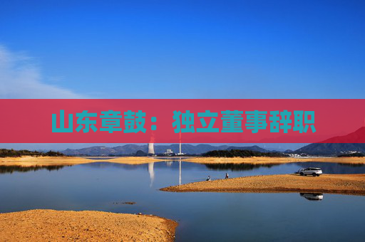 山东章鼓：独立董事辞职