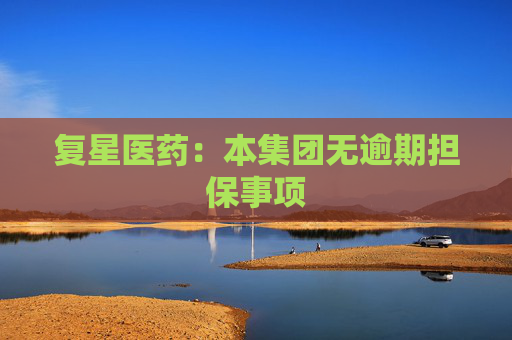 复星医药：本集团无逾期担保事项  第1张