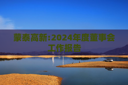 蒙泰高新:2024年度董事会工作报告  第1张