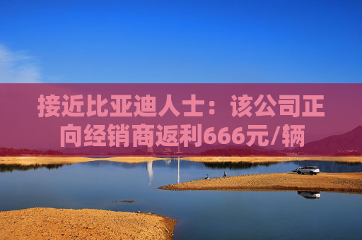 接近比亚迪人士：该公司正向经销商返利666元/辆