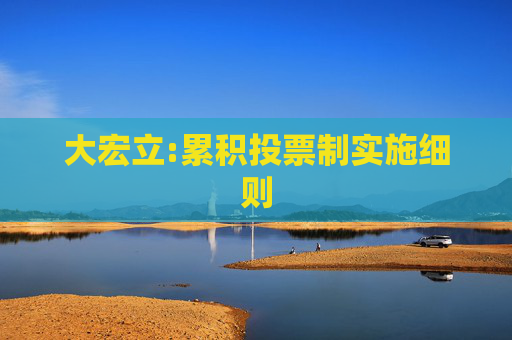 大宏立:累积投票制实施细则