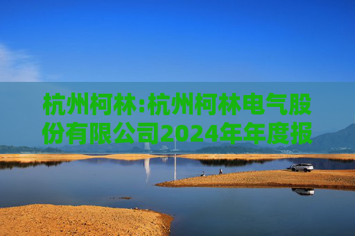 杭州柯林:杭州柯林电气股份有限公司2024年年度报告