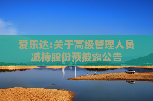 爱乐达:关于高级管理人员减持股份预披露公告
