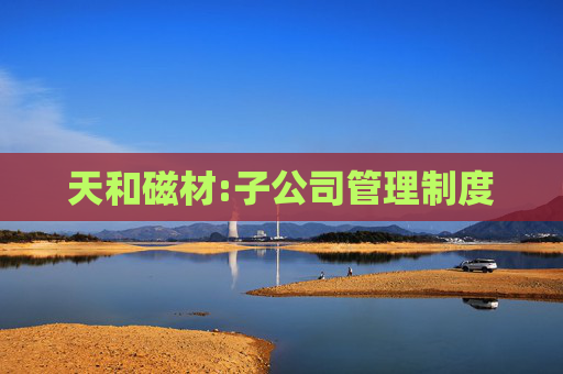 天和磁材:子公司管理制度
