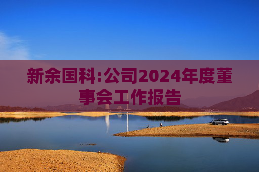 新余国科:公司2024年度董事会工作报告