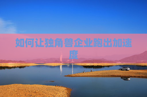 如何让独角兽企业跑出加速度
