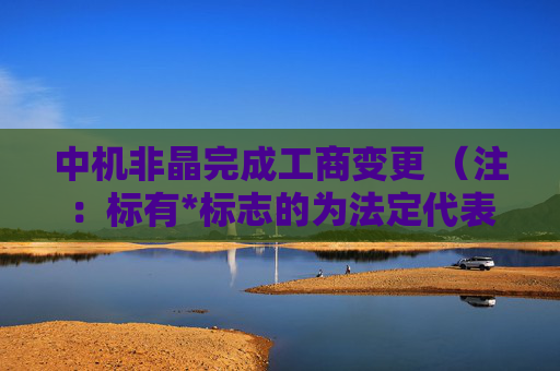 中机非晶完成工商变更 （注：标有*标志的为法定代表人）1 徐继斌* 董事长2 张川 董事3 刘文仲 董事4 郭志勇 董事5 何力 董事6 黄效东 总经理7 甄富海 监事会主席8 徐磊 监事9 张锦 监事任董事（理事）、经理、监事