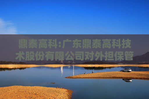 鼎泰高科:广东鼎泰高科技术股份有限公司对外担保管理制度（2025年6月）