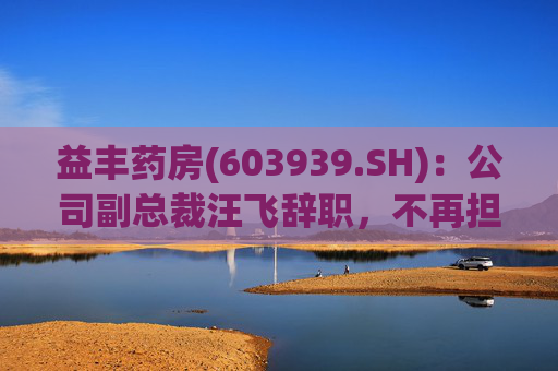 益丰药房(603939.SH)：公司副总裁汪飞辞职，不再担任公司其他职务