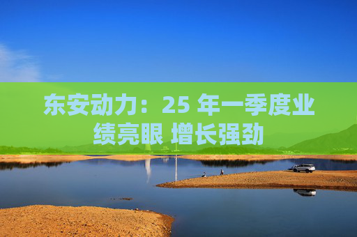 东安动力：25 年一季度业绩亮眼 增长强劲