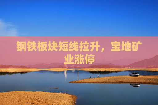 钢铁板块短线拉升，宝地矿业涨停