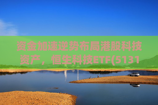 资金加速逆势布局港股科技资产，恒生科技ETF(513130)单日净流入超6亿，最新份额达378.29亿份，迭创历史新高