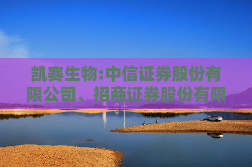 凯赛生物:中信证券股份有限公司、招商证券股份有限公司关于上海凯赛生物技术股份有限公司向特定对象发行A股股票之上市保荐书  第1张