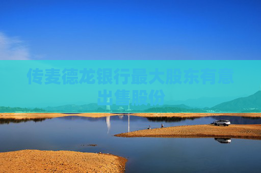 传麦德龙银行最大股东有意出售股份